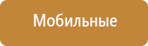 Скэнар 1 нт исполнение 01