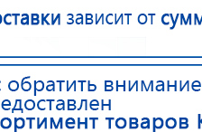 СКЭНАР-1-НТ (исполнение 02.1) Скэнар Про Плюс купить в Ижевске, Аппараты Скэнар купить в Ижевске, Дэнас официальный сайт denasolm.ru